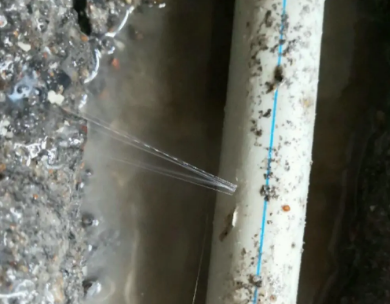 二道江测漏水哪家好