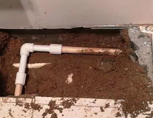 二道江测漏水哪家好