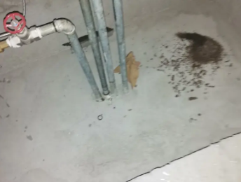 二道江卫生间测漏水价格明细