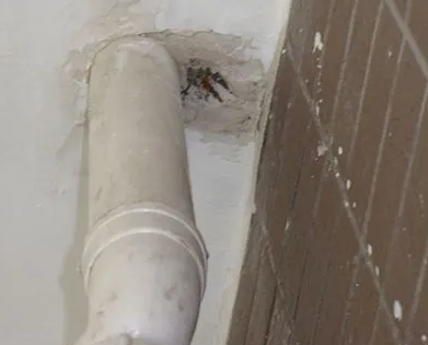 二道江漏水检测哪家好